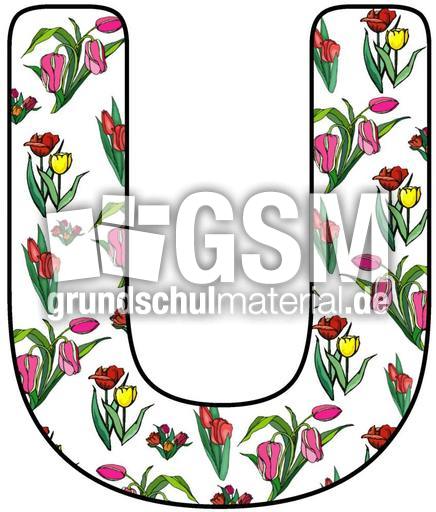 Tulpen-Buchstabe-U.jpg